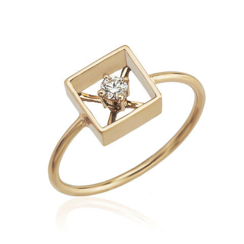 X - SQUARED COLLECTION