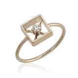 X-Squared R Ring