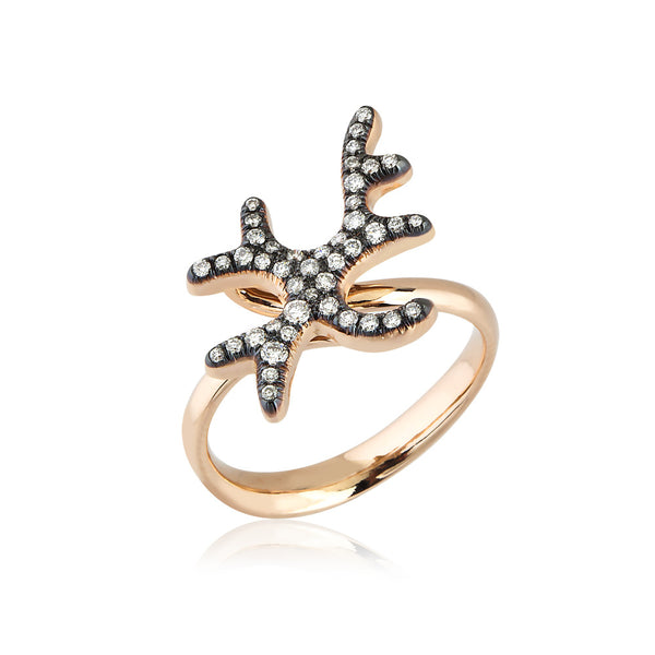 Acropora Magnifica Ring